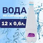 Вода "Вартемяжская" 0,6 л. (негазированная) (Упаковка 12 штук)